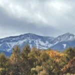 管理人のアバター